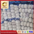 Factory Direct Fresh Garlic Pure White From China